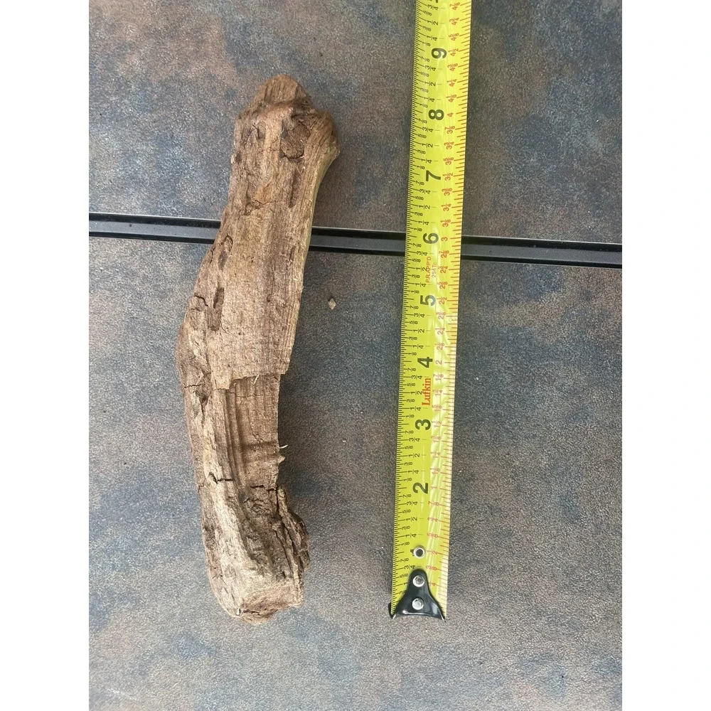 Natural Driftwood for Plants Terrarium Taxidermy Art Projects